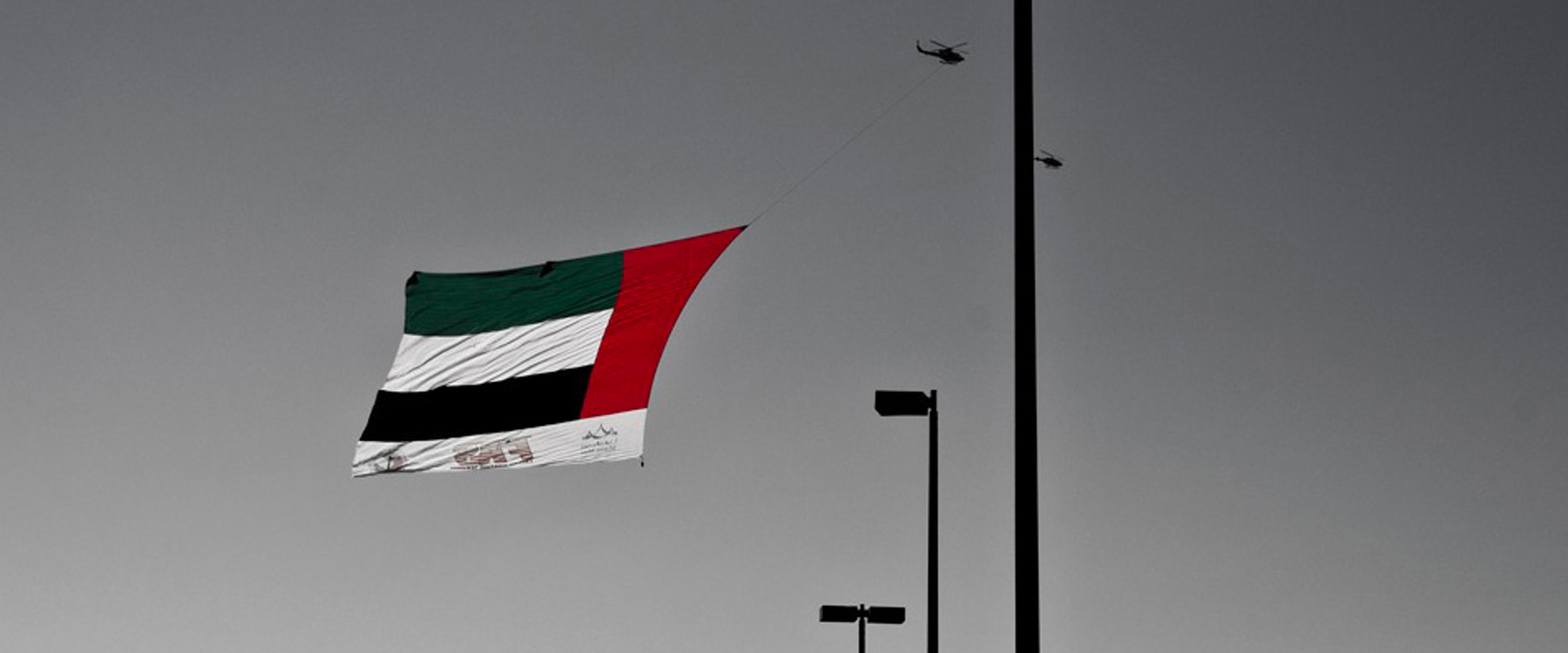 UAE Flag